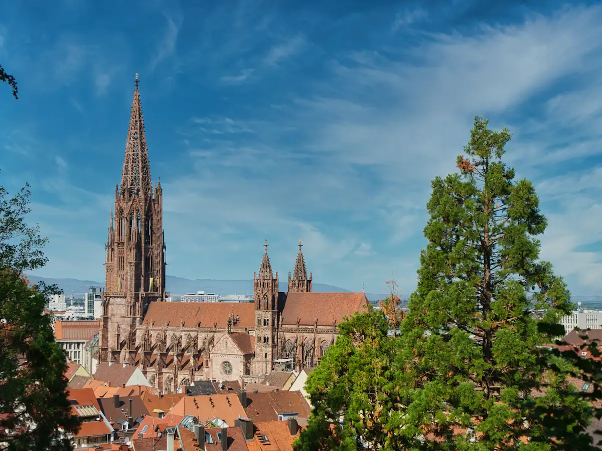 Das Freiburger Münster über den Dächern der Altstadt